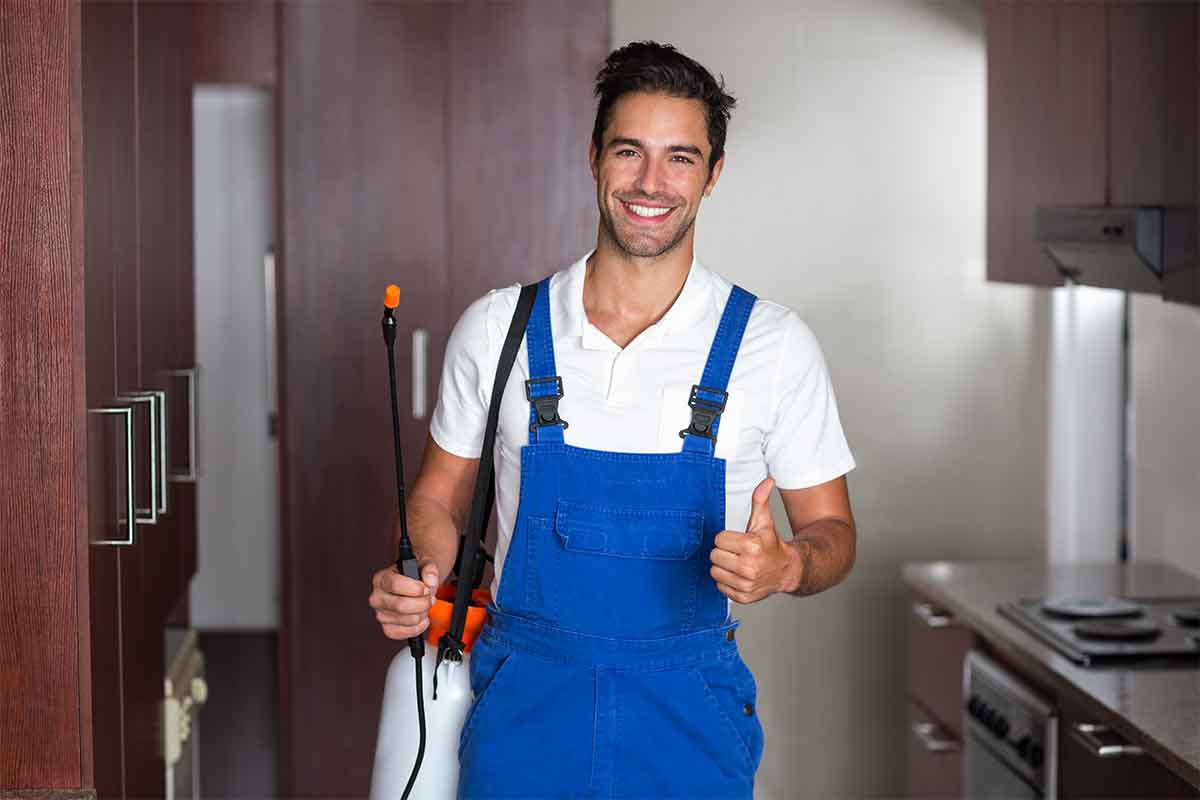 How to Choose a Pest Control Company The Do’s & Don’ts Best Pick Reports